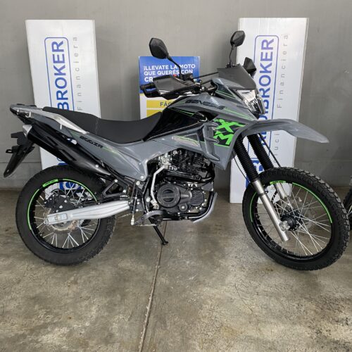 Alternative view of GENESIS XM 200 ZR 2026